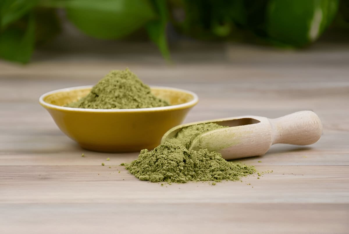 6 Differences Between 7-Hydroxymitragynine and Kratom To Know