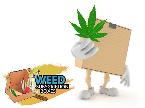 How To Start A Marijuana Packaging Company