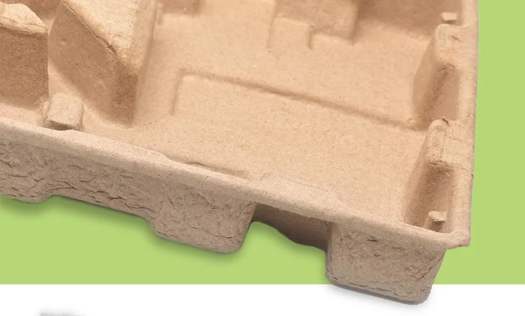 Molded Pulp