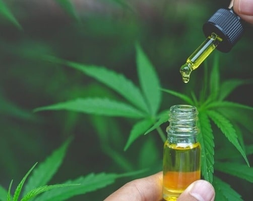 A Step-by-Step Guide to Becoming a CBD Affiliate
