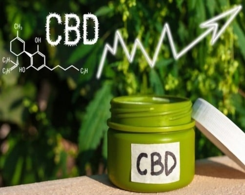 The Ultimate Guide to Marketing Your CBD Website