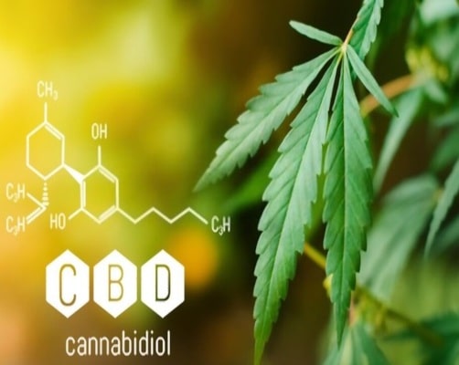 How to Start a Successful CBD business