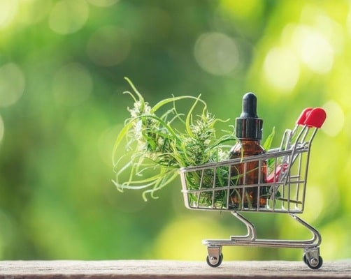 How To Start CBD Business in Alabama