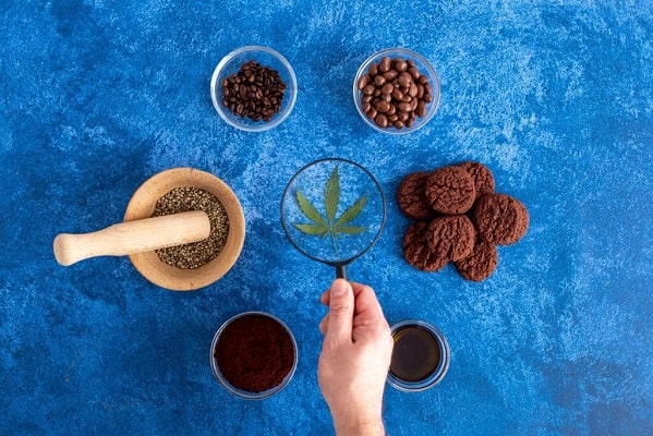 How to Start a CBD Business in Canada