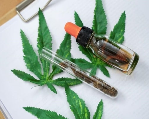How to Start CBD Business in Kentucky