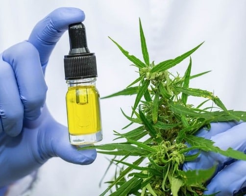 Is CBD Legal in NY – CBD Legality Guide for New York