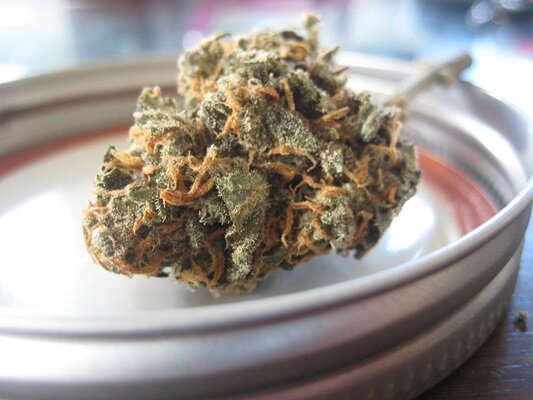 Here is How To Save Money On Your Next CBD Isolate Purchase