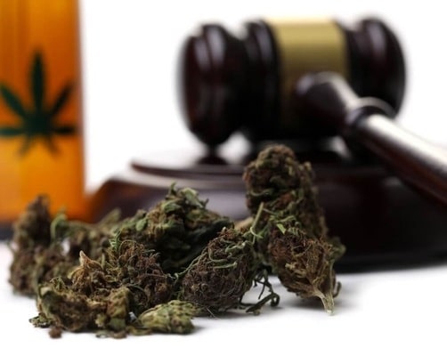 Do you Need a License to Sell CBD Products in Colorado