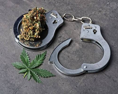 Is CBD Oil Legal in Canada for Minors – Detailed Guide