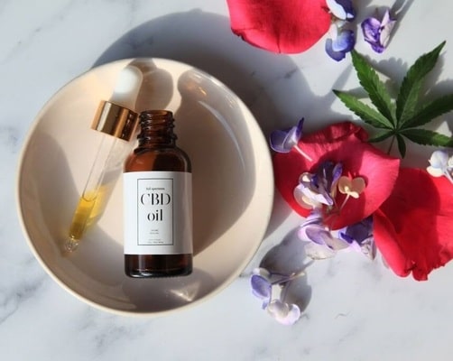 A Detailed Guide to Become A CBD Oil Distributor in Colorado
