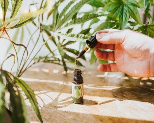 Selling CBD Online in Canada – All You Need to Know