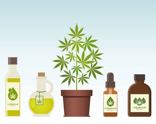 Do you Need a License to Sell CBD Products in Canada