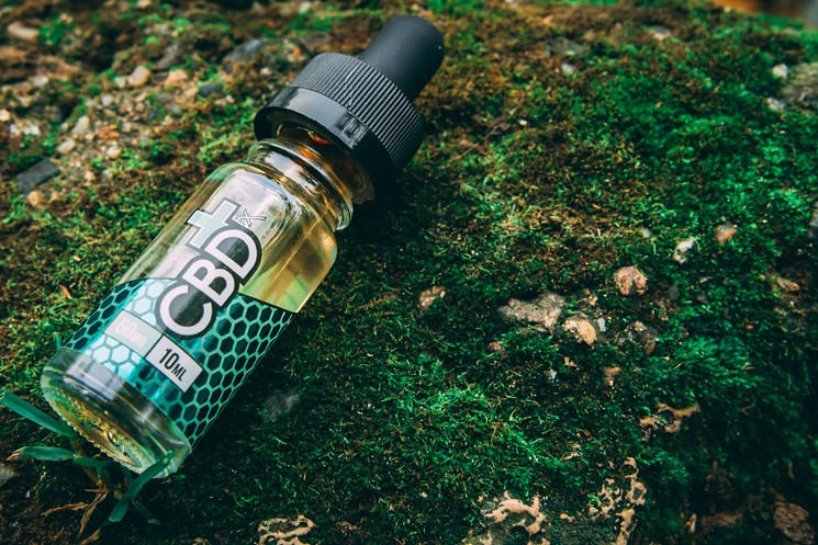 How To Start a CBD Business in Florida