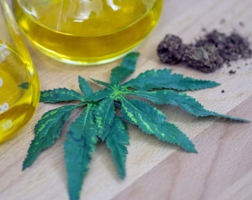 A Guide to Choosing a CBD Private Label Supplier