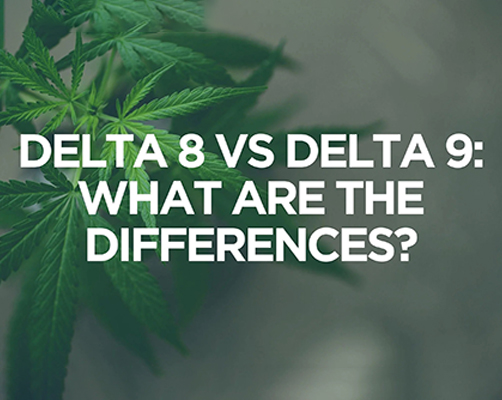 Elevate Your CBD Lifestyle A Comprehensive Guide to Delta 9 Carts