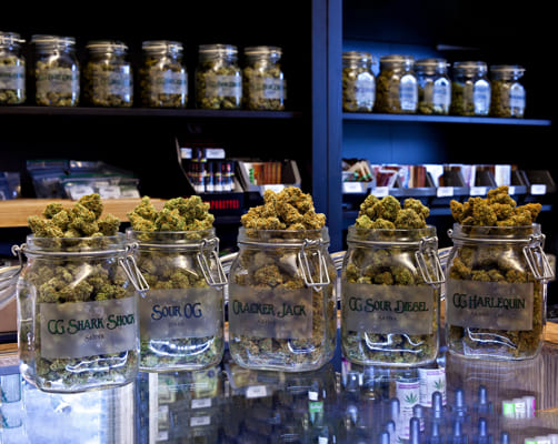 Dispensary Etiquette What You Should Know Before You Go