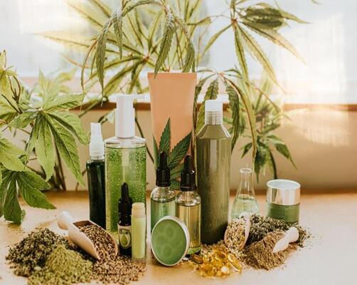 Distribution Strategy for CBD-Based Products – A Detailed Guide