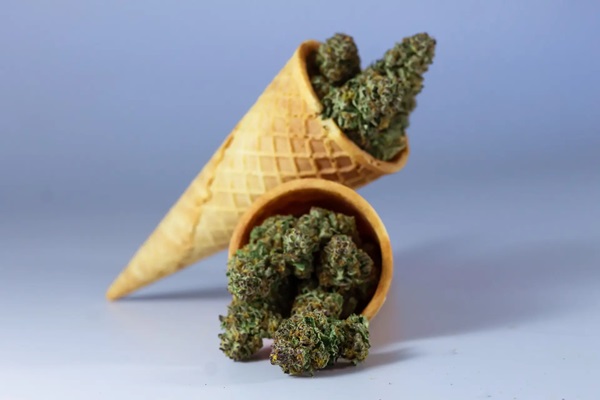 The Ultimate Exotic Weed Tour: Exploring Hidden Gems in the World of Cannabis