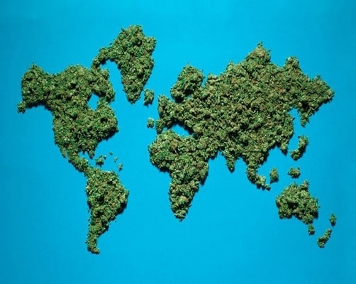 Exporting Cannabis Innovation to the World