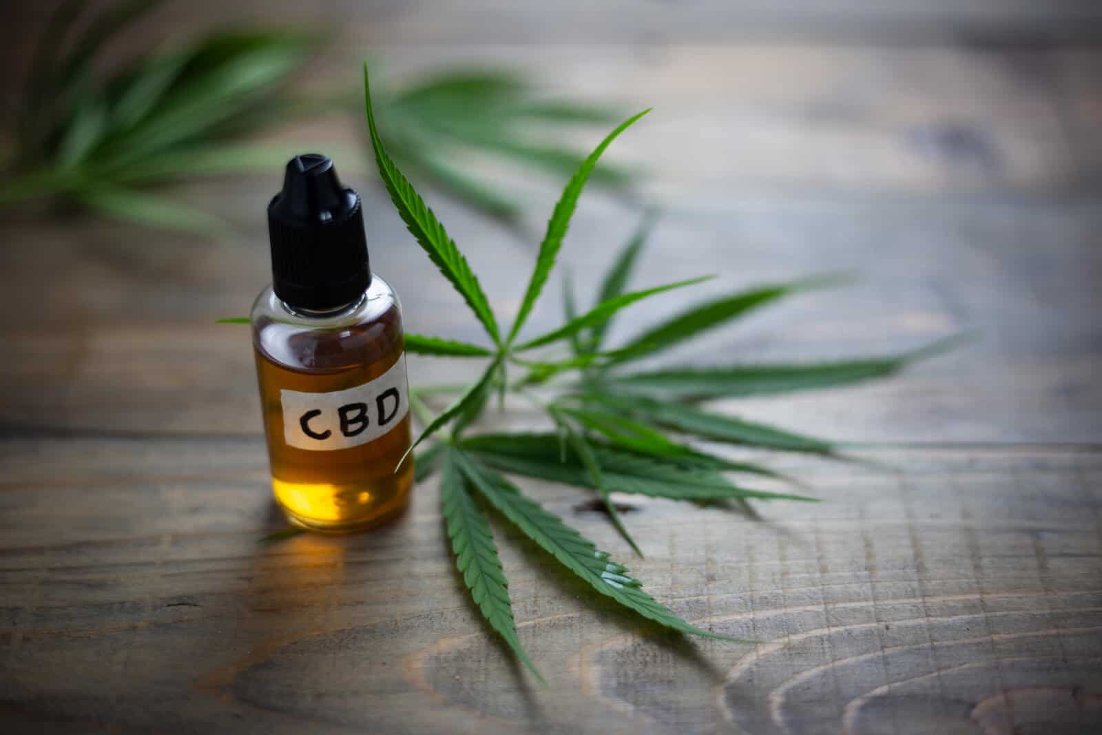 Guide to Become A CBD Oil Distributor In Texas