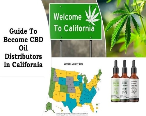 Guide To Become CBD Oil Distributors in California