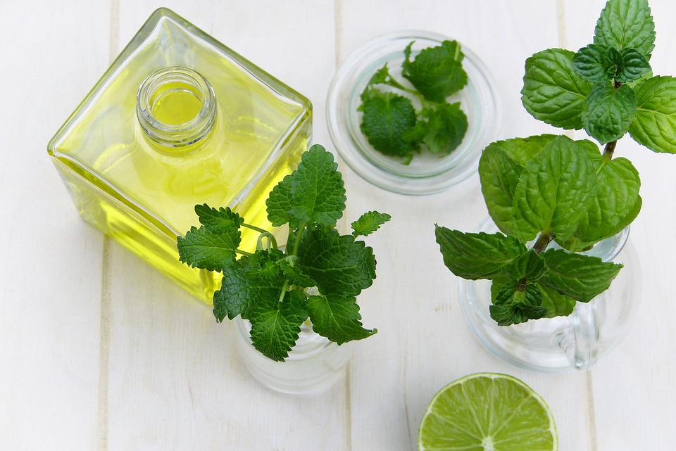Why Is It Vital To Read Dosage Instructions Before Buying THC Oil