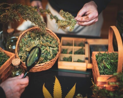 Boosting Customer Retention in the CBD Industry: Strategies for Success
