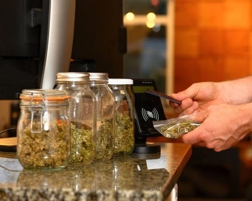 Marijuana Retail Licensing USA: Everything You Need to Know