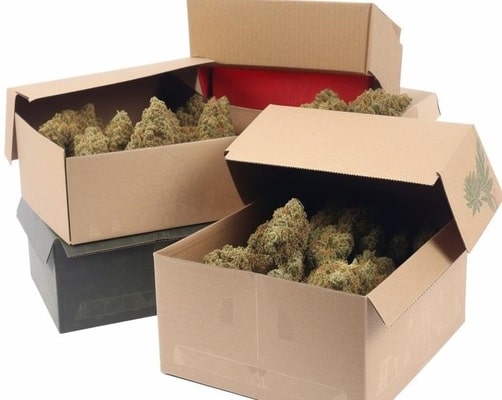 Where Can I Buy Weed Boxes In Bulk?