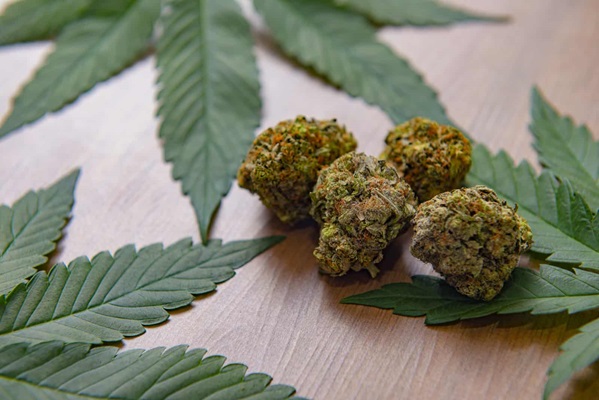Buying Weed Online Top Features to Look for In an Online Dispensary