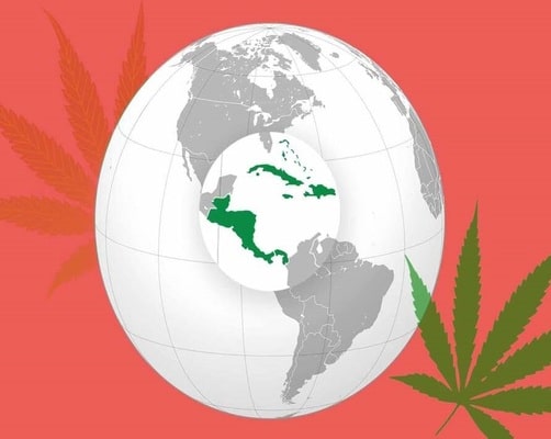 What Countries Is CBD Legal In?
