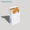 Blank Cigarette Boxes