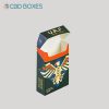 Empty Paper Flip Top Cigarette Boxes