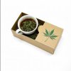 Hemp Tea Boxes