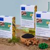Hemp Seeds Oil Boxes