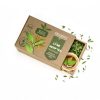 Hemp Tea Boxes